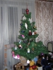 Имя файла=DSCN0951.jpg
Размер файла=266КБ
Размеры=900x1200
Дата=Сент 15, 2006 DSCN0951.jpg