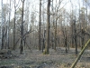 Имя файла=P1010159.jpg
Размер файла=304КБ
Размеры=1000x750
Дата=Сент 16, 2006 P1010159.jpg